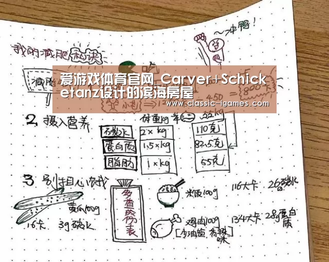爱游戏体育官网_Carver+Schicketanz设计的滨海房屋(图3) 爱游戏官方