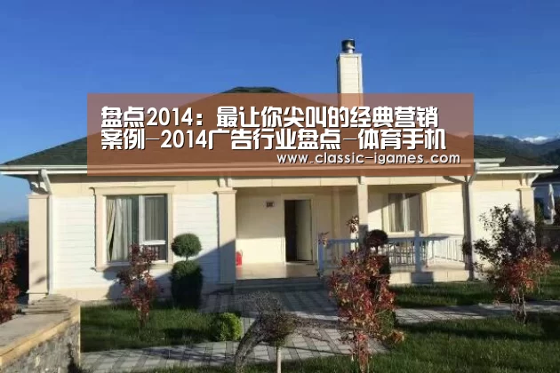 盘点2014:最让你尖叫的经典营销案例-2014广告行业盘点-体育手机端APP(图2) 爱游戏官方