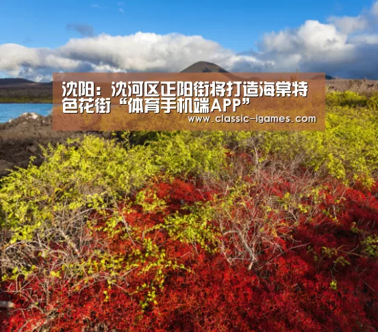 沈阳:沈河区正阳街将打造海棠特色花街“体育手机端APP”(图1) 爱游戏体育官网