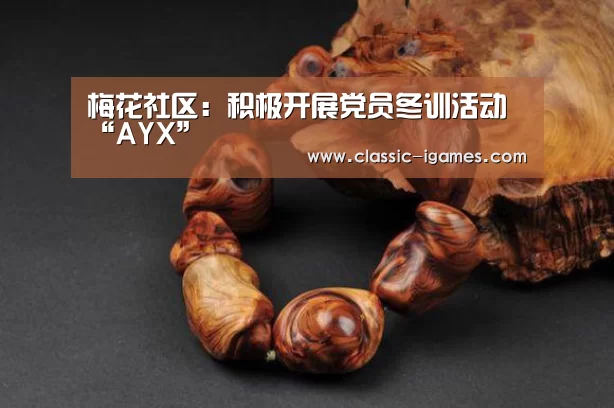 梅花社区:积极开展党员冬训活动“AYX”(图2) 体育手机端APP