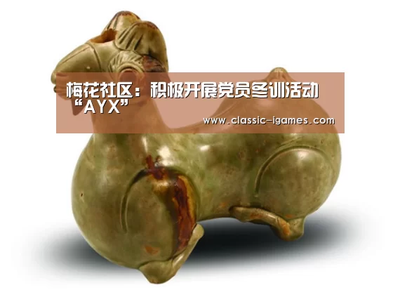 梅花社区:积极开展党员冬训活动“AYX”(图3) 爱游戏官方
