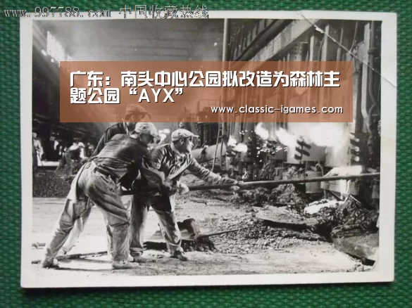 广东:南头中心公园拟改造为森林主题公园“AYX”(图2) 爱游戏体育官网